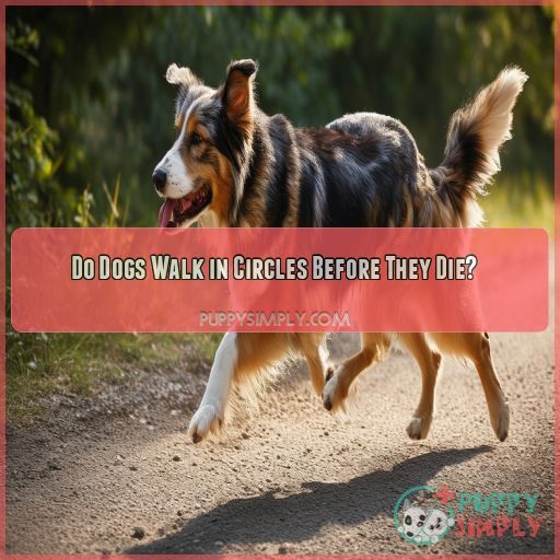 Do Dogs Walk in Circles Before They Die