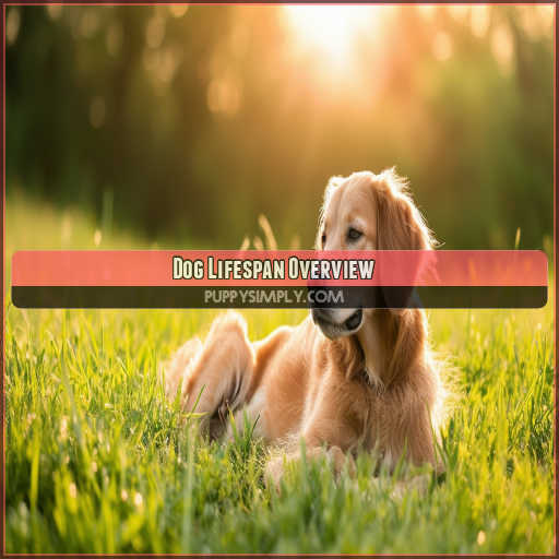 Dog Lifespan Overview