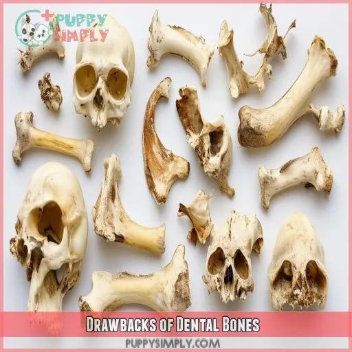 Drawbacks of Dental Bones