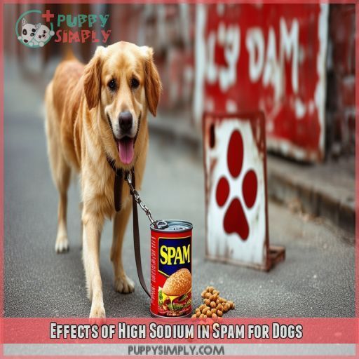 Effects of High Sodium in Spam for Dogs