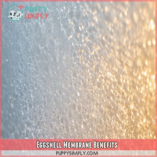 Eggshell Membrane Benefits