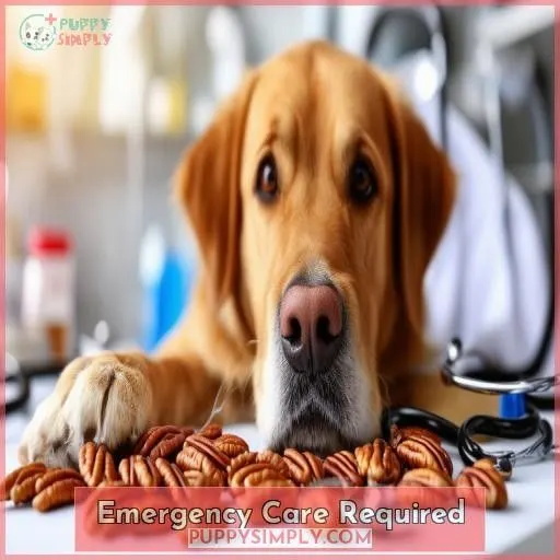 Emergency Care Required