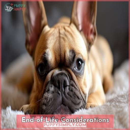 End-of-Life Considerations