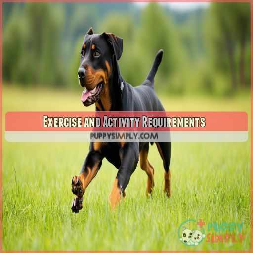 Exercise and Activity Requirements