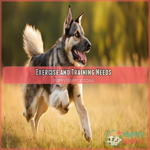 Exercise and Training Needs