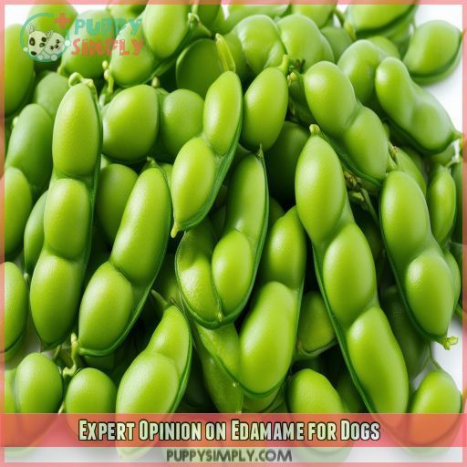 Expert Opinion on Edamame for Dogs