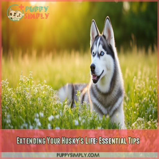 Extending Your Husky