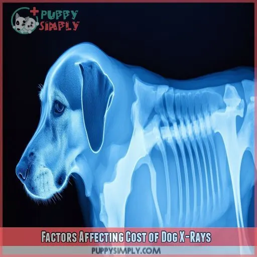 Factors Affecting Cost of Dog X-Rays
