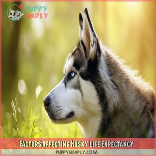 Factors Affecting Husky Life Expectancy