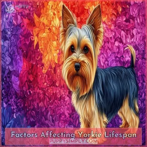 Factors Affecting Yorkie Lifespan