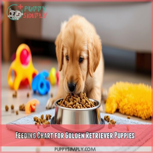 Feeding Chart for Golden Retriever Puppies