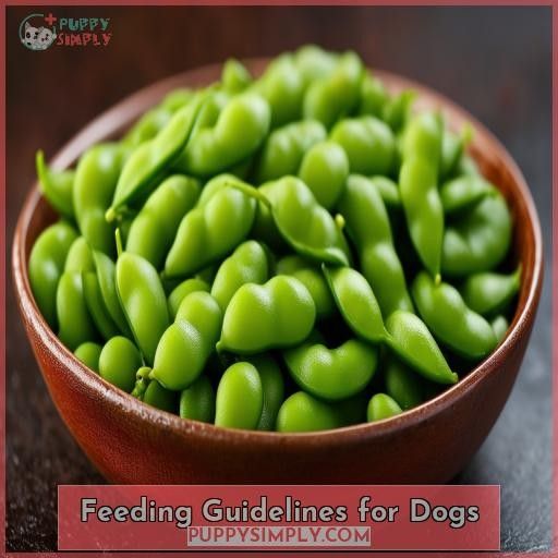 Feeding Guidelines for Dogs