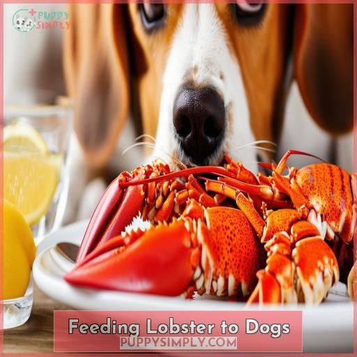Feeding Lobster to Dogs