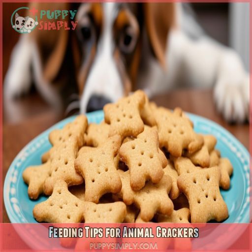 Feeding Tips for Animal Crackers