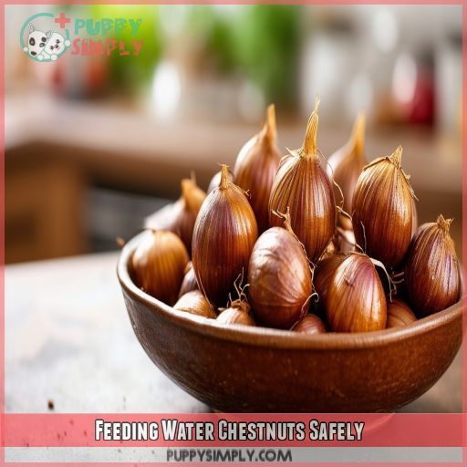 Feeding Water Chestnuts Safely