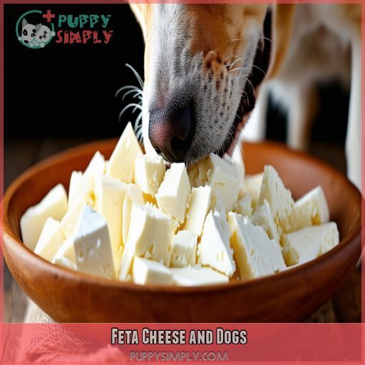 Feta Cheese and Dogs