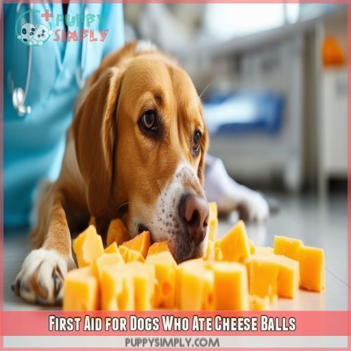 First Aid for Dogs Who Ate Cheese Balls