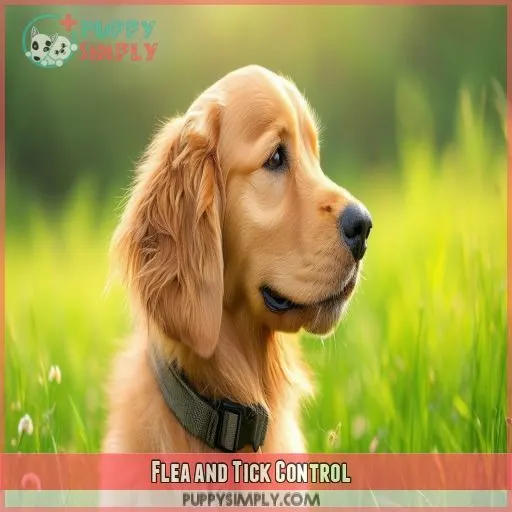 Flea and Tick Control