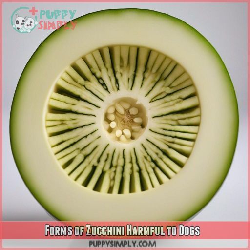 Forms of Zucchini Harmful to Dogs