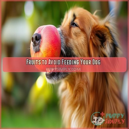 Fruits to Avoid Feeding Your Dog