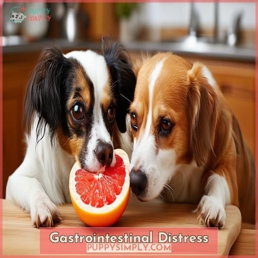 Gastrointestinal Distress