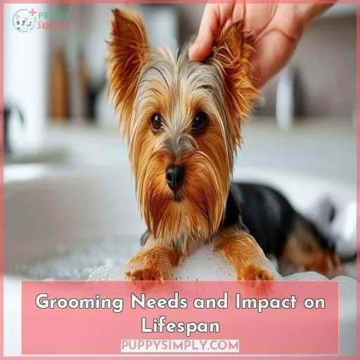 Grooming Needs and Impact on Lifespan