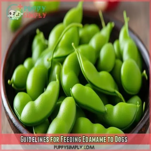 Guidelines for Feeding Edamame to Dogs