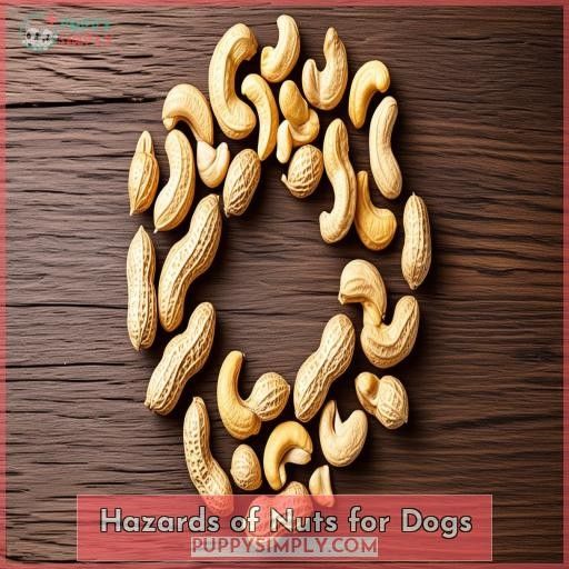 Hazards of Nuts for Dogs