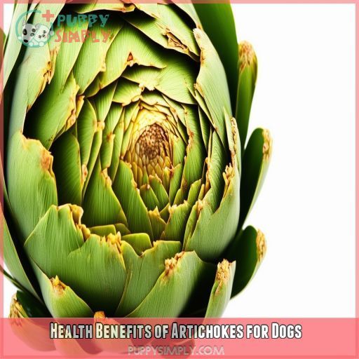 Health Benefits of Artichokes for Dogs