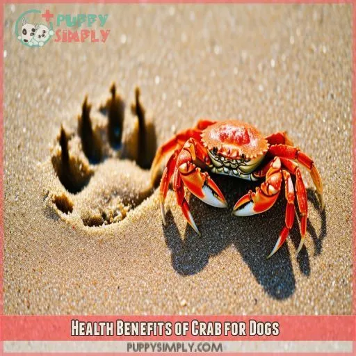 Health Benefits of Crab for Dogs