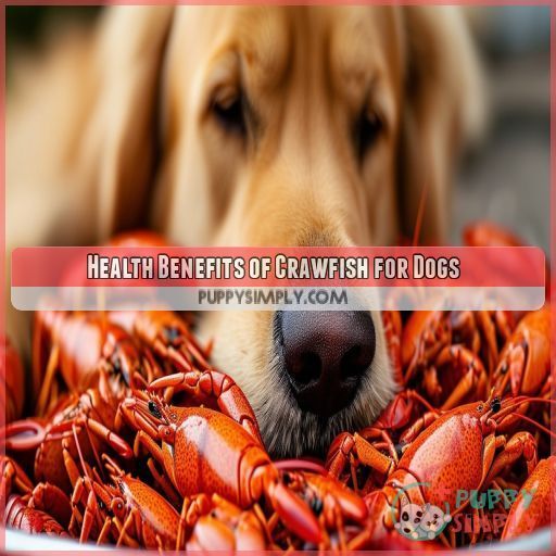 Health Benefits of Crawfish for Dogs