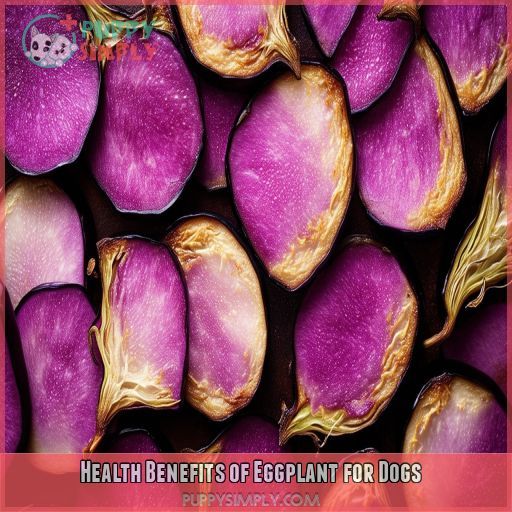 Health Benefits of Eggplant for Dogs