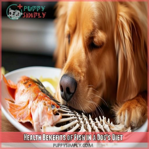 Health Benefits of Fish in a Dog