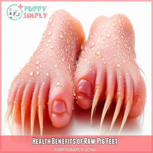 Health Benefits of Raw Pig Feet