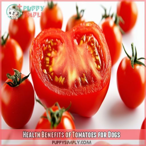 Health Benefits of Tomatoes for Dogs