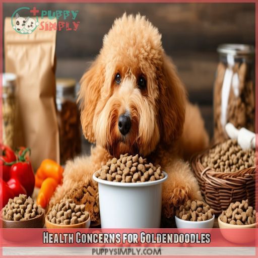 Health Concerns for Goldendoodles