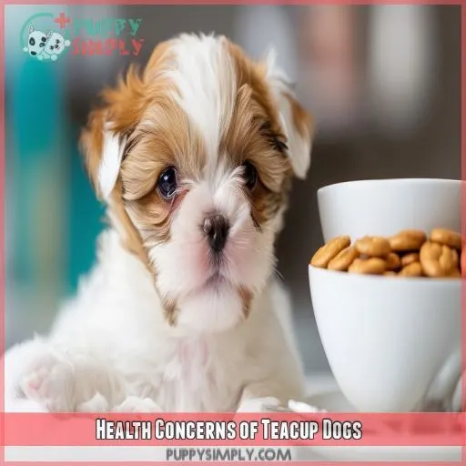 Health Concerns of Teacup Dogs