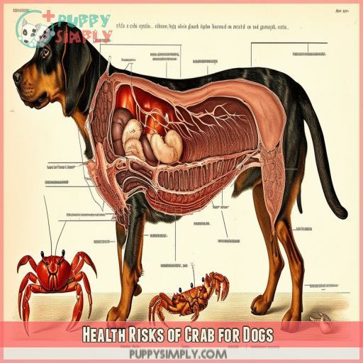 Health Risks of Crab for Dogs