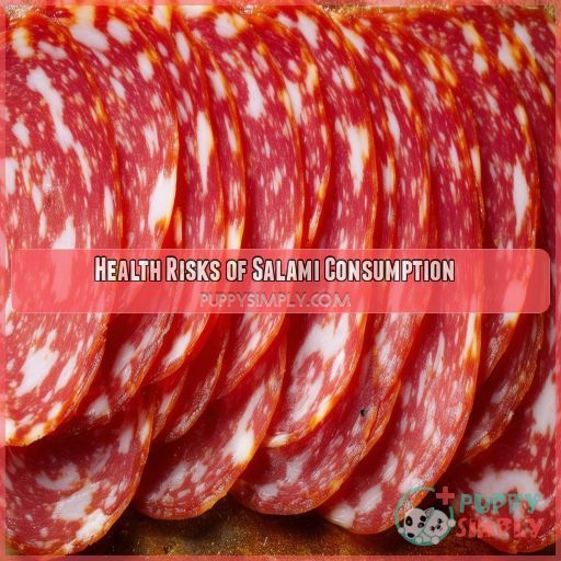 Health Risks of Salami Consumption