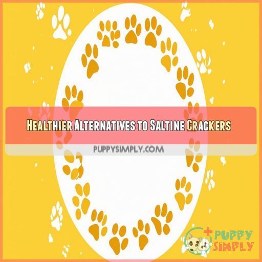 Healthier Alternatives to Saltine Crackers