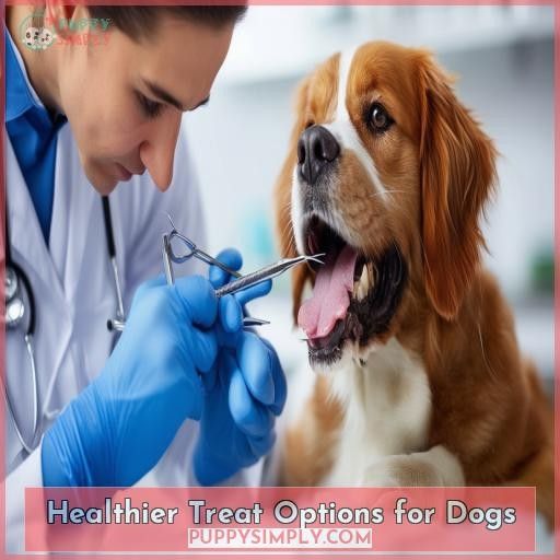 Healthier Treat Options for Dogs