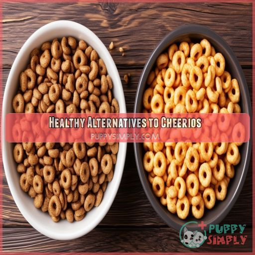 Healthy Alternatives to Cheerios