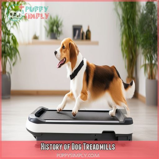 History of Dog Treadmills