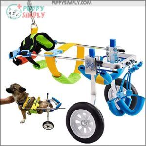 HobeyHove Adjustable Dog Cart/Wheelchair for
