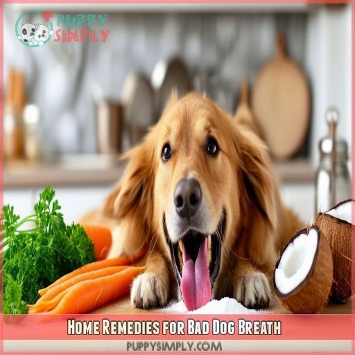 Home Remedies for Bad Dog Breath