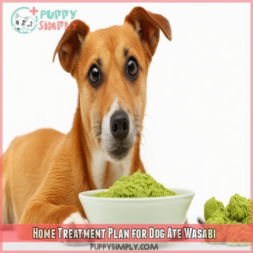 Home Treatment Plan for Dog Ate Wasabi