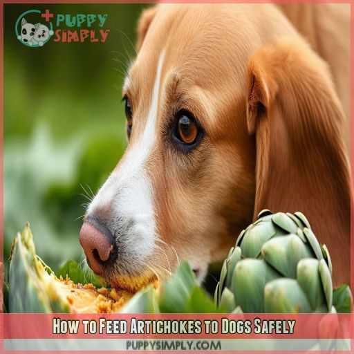 How to Feed Artichokes to Dogs Safely