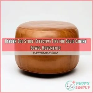 how to harden dog stool