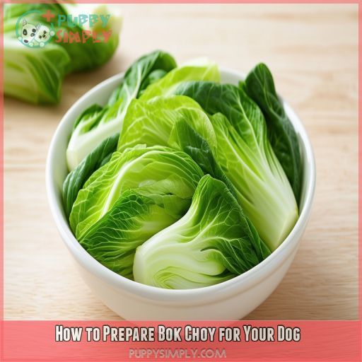 How to Prepare Bok Choy for Your Dog