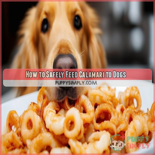 How to Safely Feed Calamari to Dogs